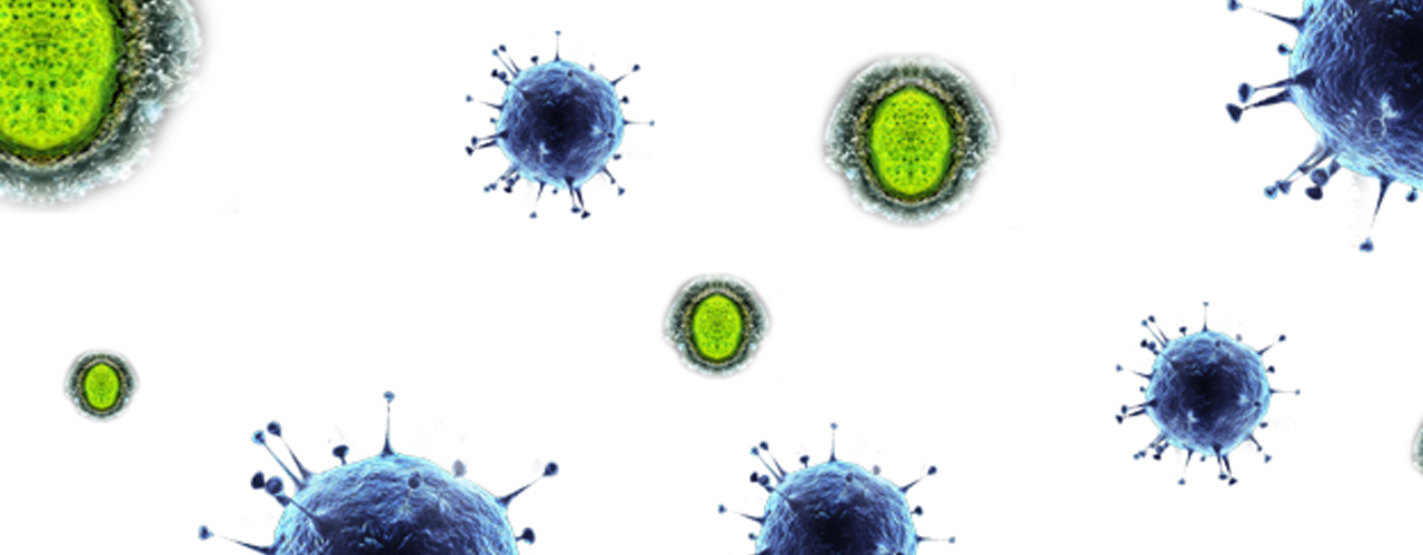 hero-viruses-and-bacteria